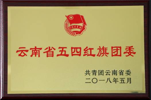 2018年5月公司团委荣获云南省五四红旗团委